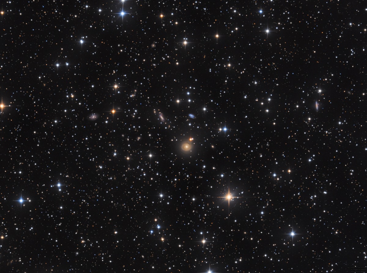 NGC6340 and friends in Draco