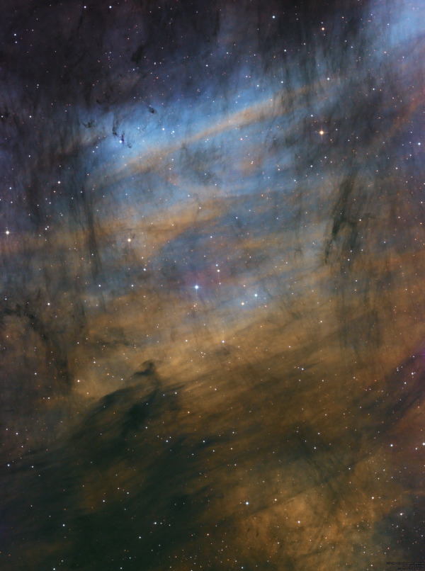 The Forsaken Nebula in Cygnus